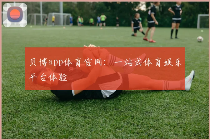 贝博app体育官网：一站式体育娱乐平台体验