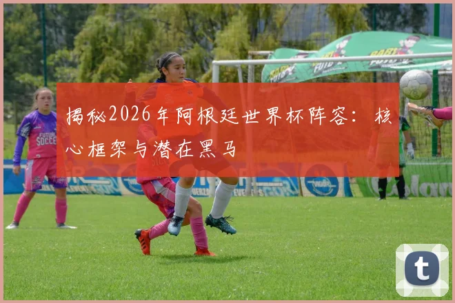 揭秘2026年阿根廷世界杯阵容：核心框架与潜在黑马